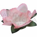 Forminha para Doces Finos F282 - 40 unid. Cores Diversas